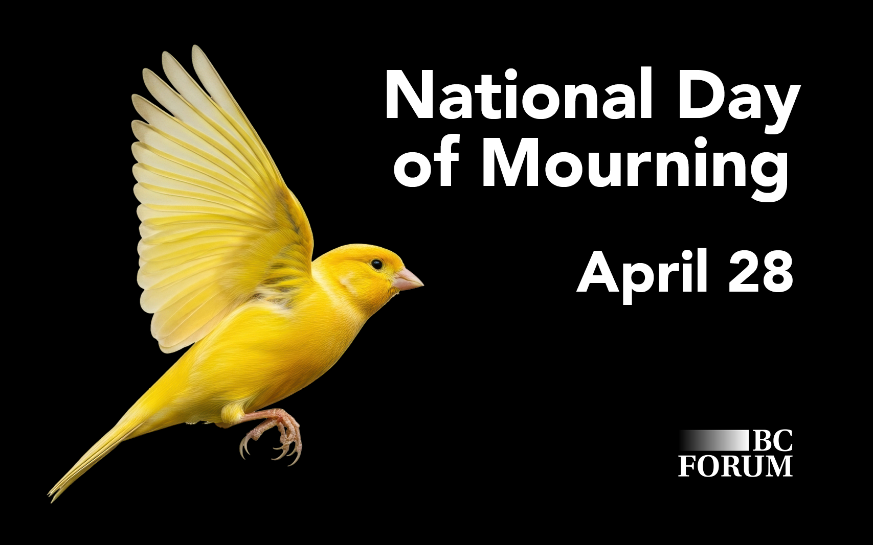 April 28 Ceremony: National Day of Mourning